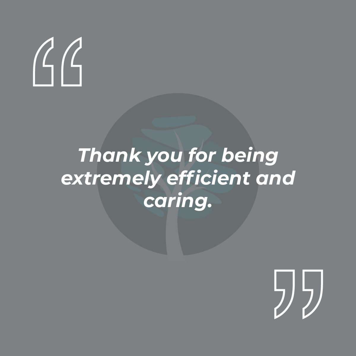 Thank you for being extremely efficient and caring.