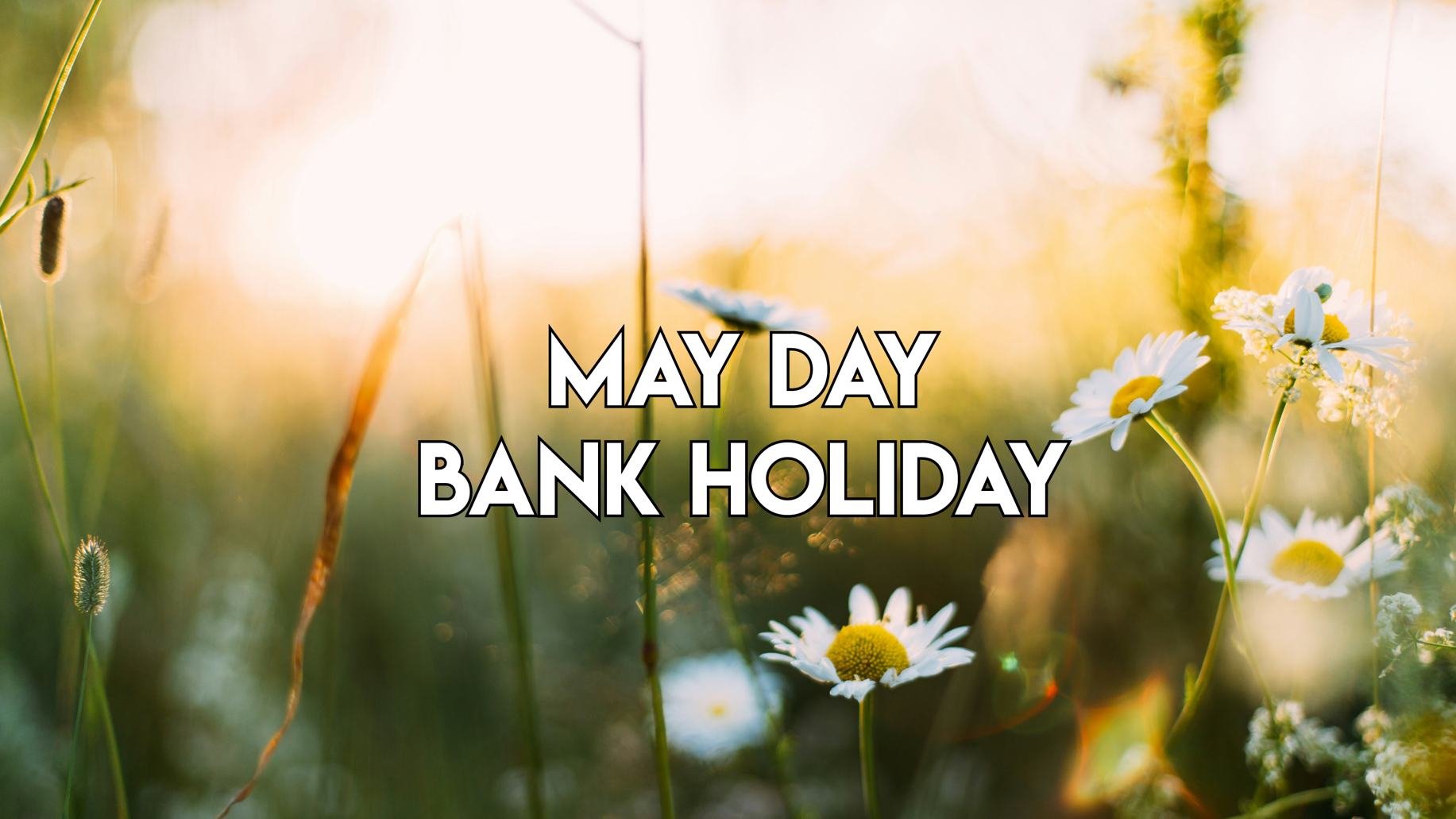 May Day Bank Holiday: We will be closed on Monday, 6th May.