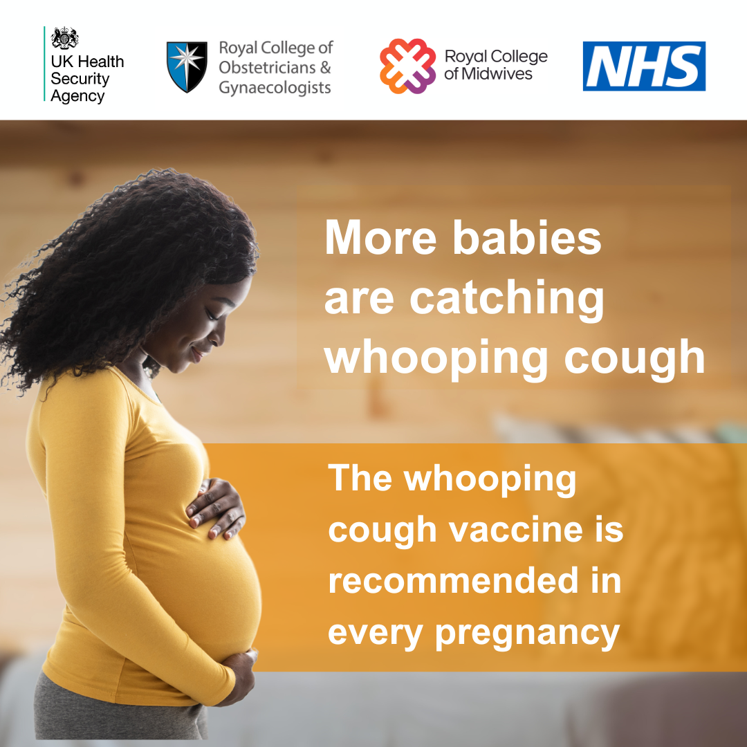 A pregnant woman touches her stomach. The text reads: More babies are catching whooping cough.  The whooping cough vaccine is recommended in every pregnancy.