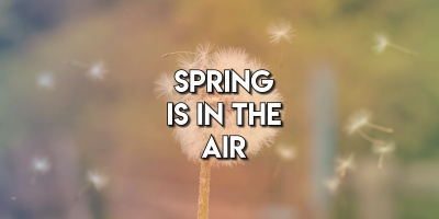 Spring is in the Air – and so are Allergies!