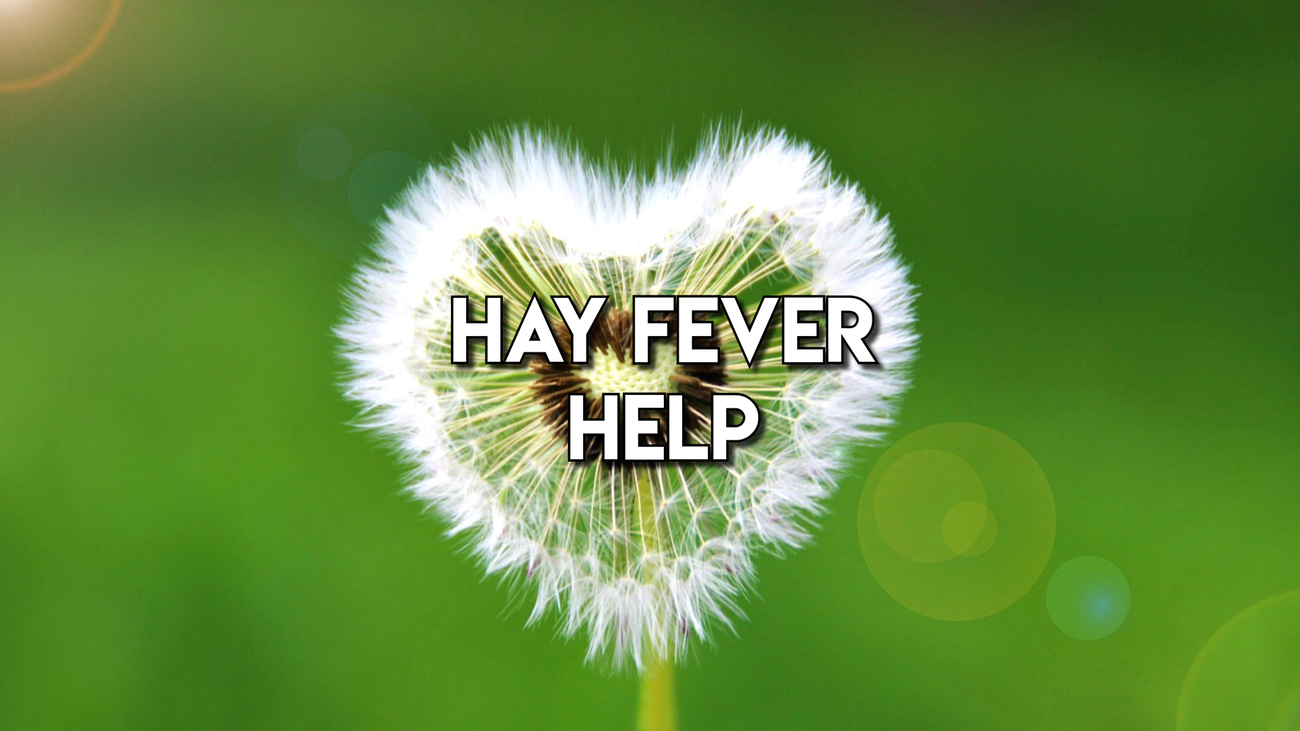 Hay Fever Help: Simple Ways to Feel Better