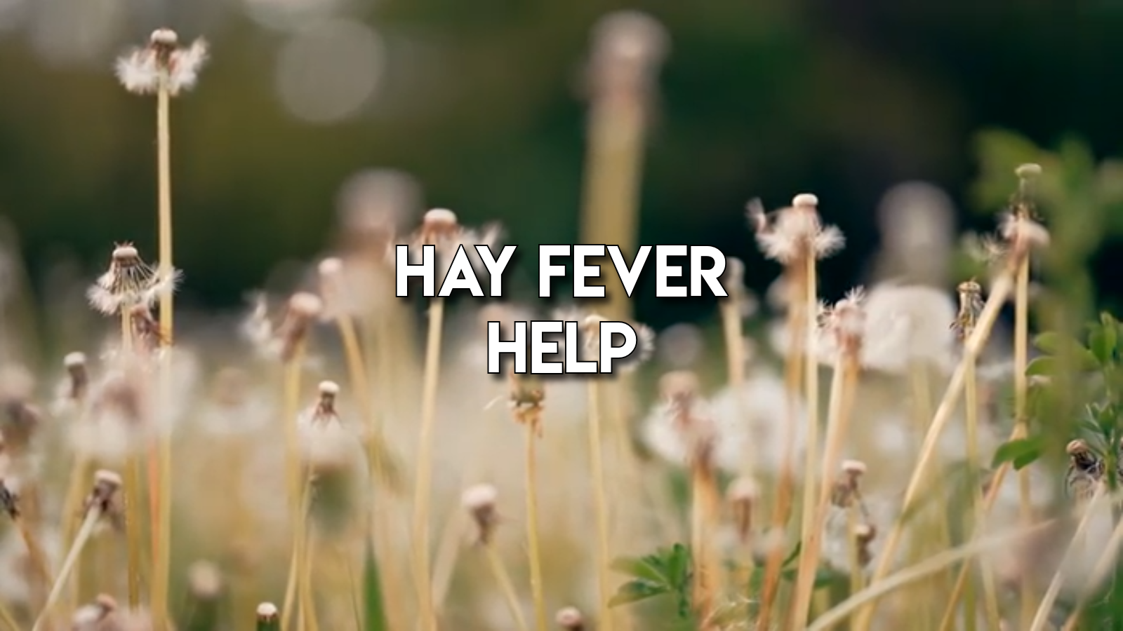 Hay Fever Help: Simple Ways to Feel Better